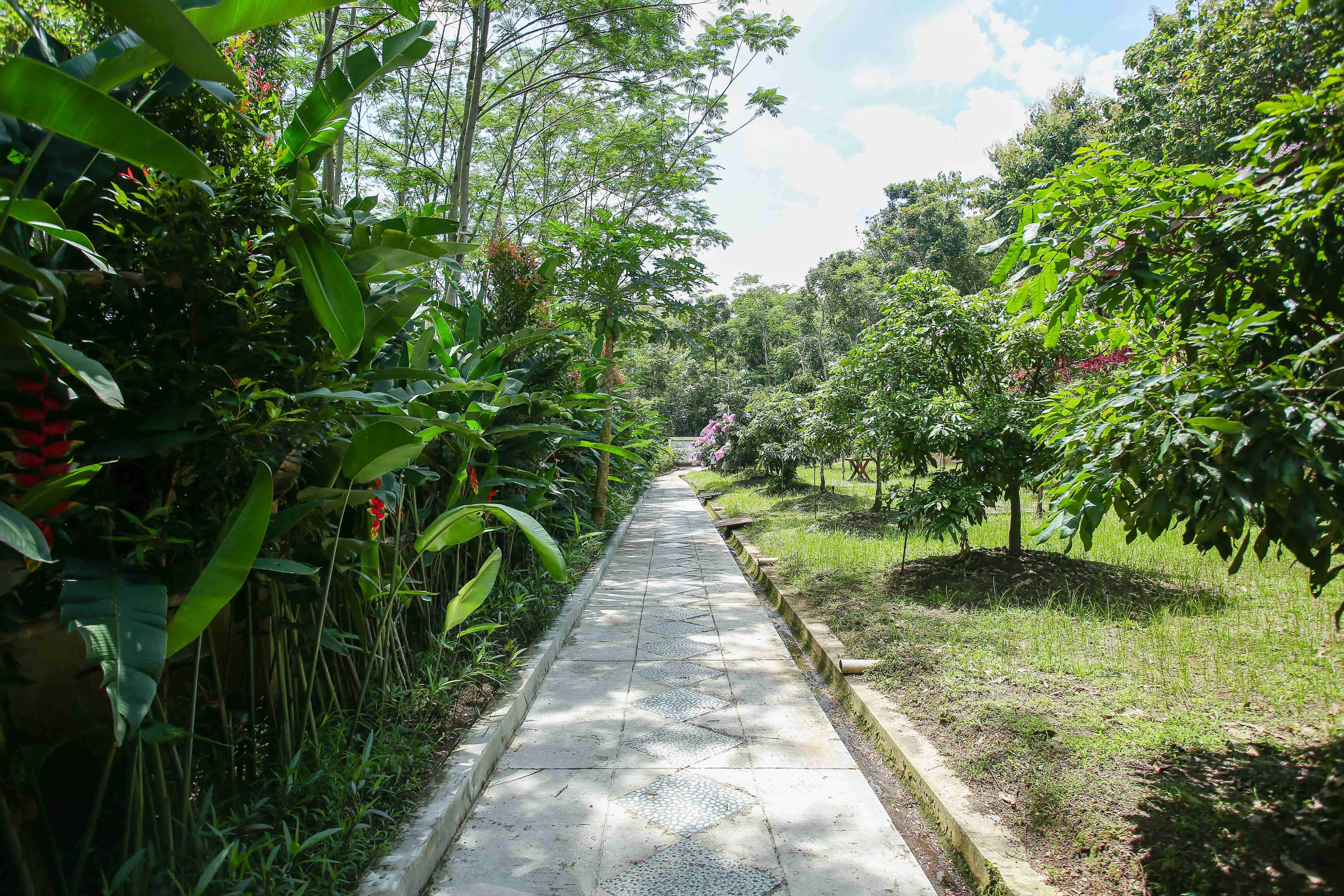 Jogging Track