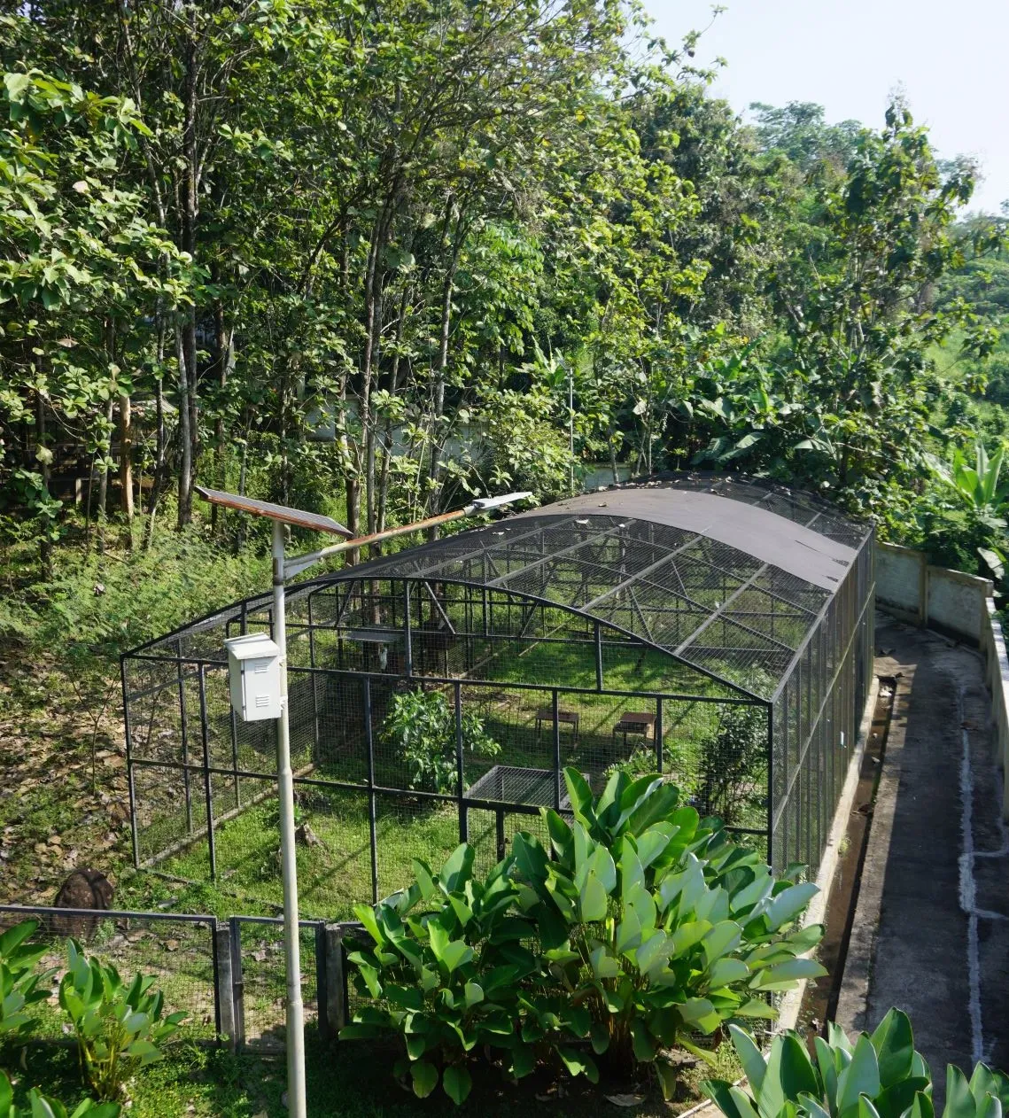 Bird Park  Papua Conservation Sanctuary 