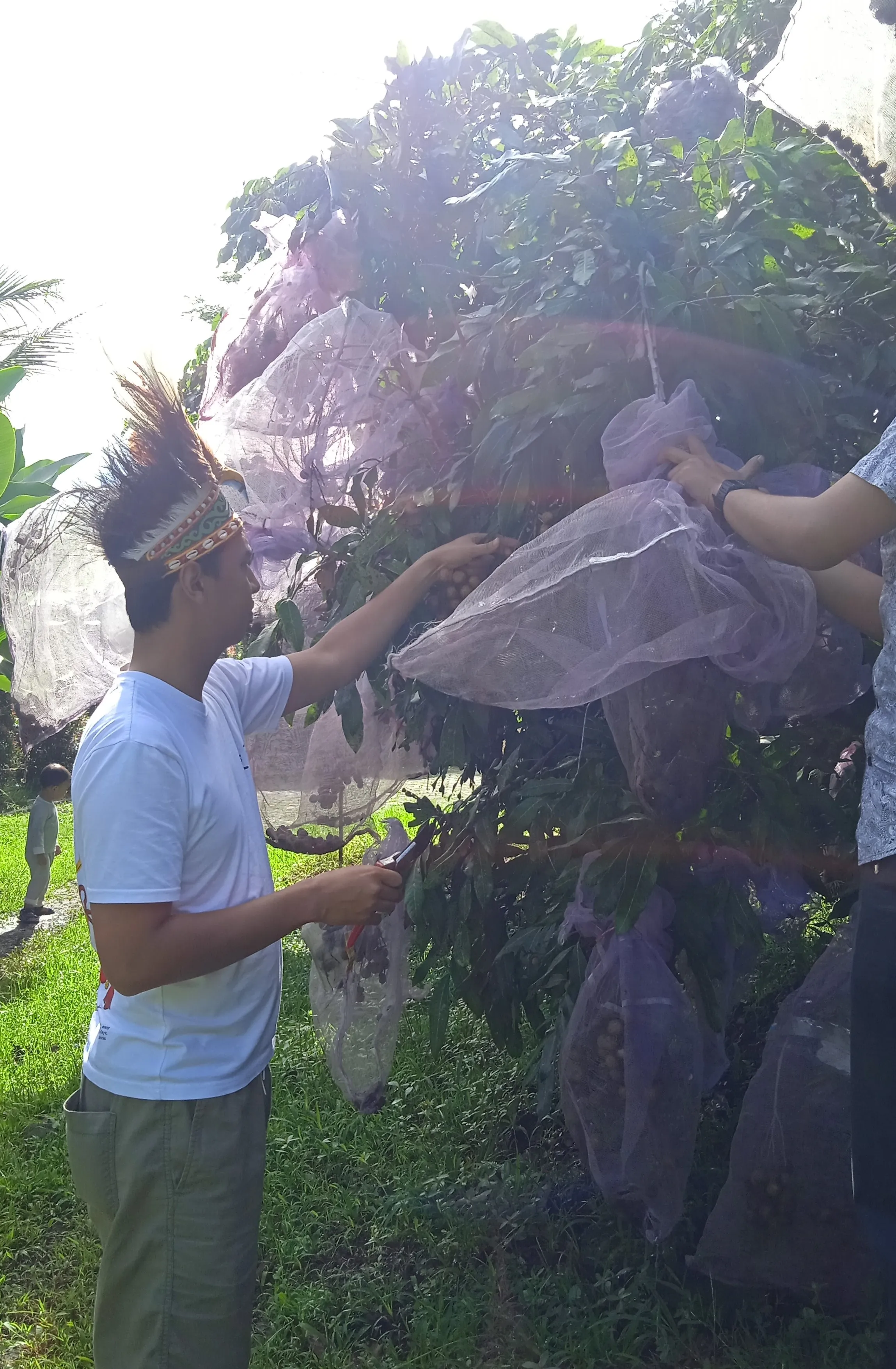 Agro Garden & Fruit Experience